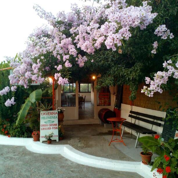 Theodore Apartments Zaharo Dış mekan fotoğraf