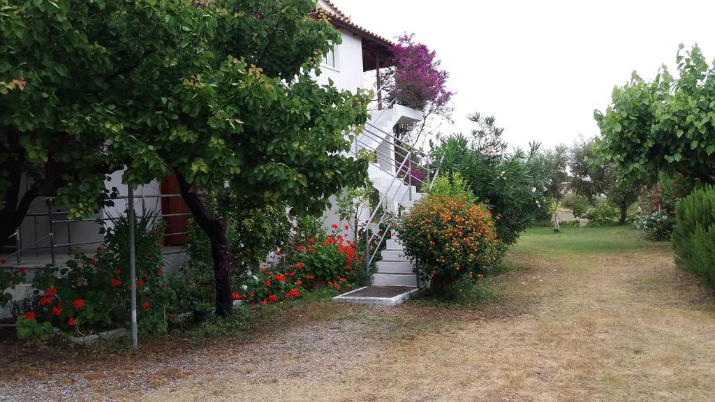 Theodore Apartments Zaharo Dış mekan fotoğraf