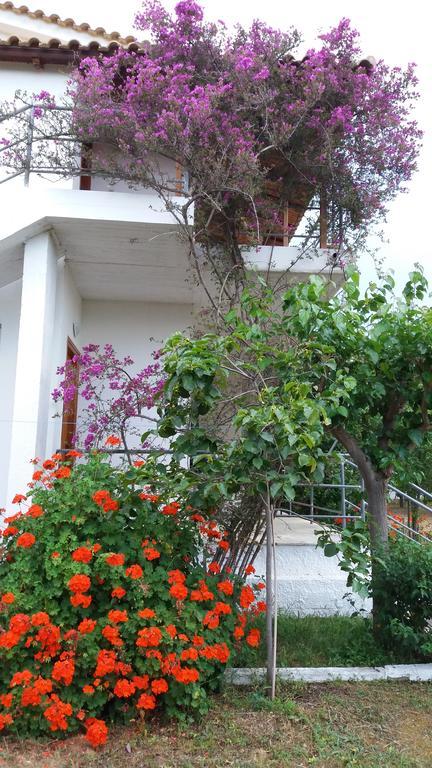 Theodore Apartments Zaharo Dış mekan fotoğraf